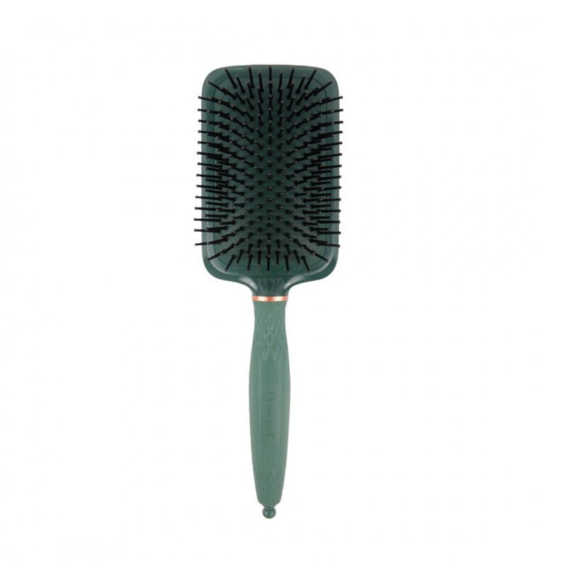 DONEGAL Brush with cushion (1299)