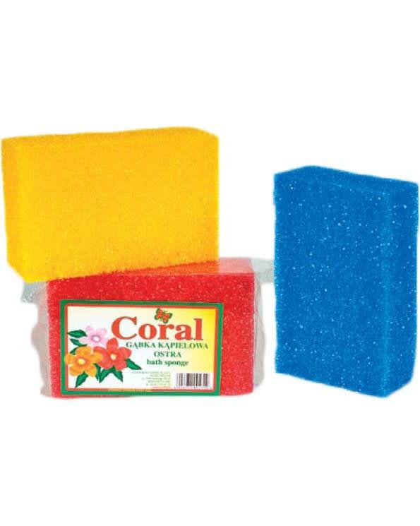 Cactus Bath Sponge