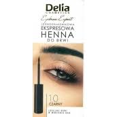 Delia Cosmetics Instant Eyebrow Tint color 1.0 black 6 ml