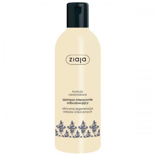Ceramide Treatment Shampoo Rebuilding Damaged Hair 300ml